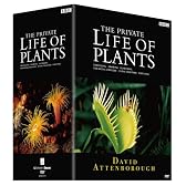 BBCドキュメント100シリーズ プライベート・ライフ・オブ・プランツ/植物の世界 DVD-BOX