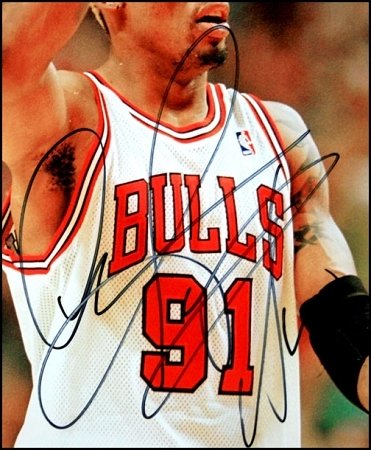Dennis Rodman Autographed Chicago Bulls 8X10 Photo