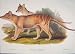 Goulda S Mammals Australia 1863 Thylacinus Cynocephalus