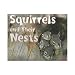 Squirrels and Their Nests (Animal Homes)