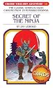 Secret of the Ninja (Choose Your Own Adventure #16)
