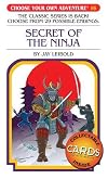 Secret of the Ninja