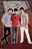 Jonas Brothers Entertainment Poster Print, 22x34
