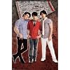 Jonas Brothers Poster Print, 22x34 Poster Print, 22x34