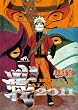 ＮＡＲＵＴＯ－ナルト－　コミックカレンダー２０１１ (SHUEISHA コミックカレンダー２０１１)