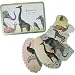 Cavallini Animals - 36 Die Cut Gift Tags, Vintage Archival Images
