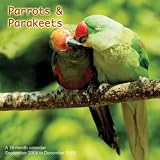 Parrots and Parakeets 2009 Wall Calendar