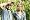 Lost: The Complete Fifth Season