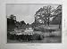 1902 Kew Gardens Lake Trees Country Grass Photograph