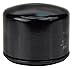 Maxpower 334299 Oil Filter MTD, Cub Cadet, and Troy-Bilt, Replaces OEM Numbers 951-12690, 751-12690, 751-11501
