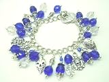 Chic Wrists We Love Skulls Bold Charm Bracelet, Blue Crystal, Metal Skull Charms with FREE Earrings