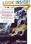 Painting the Drama of Wildlife Step by Step