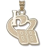 LogoArt Dale Earnhardt, Jr. 10K I Heart Pendant
