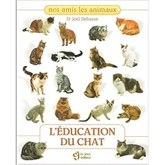 L education du chat
