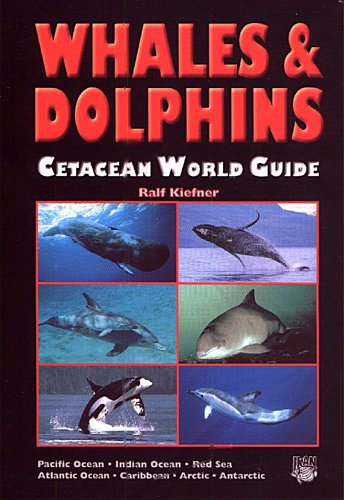 Whales & Dolphins: Cetacean World Guide
