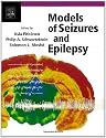 Models of Seizures and Epilepsy