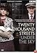 Twenty Thousand Streets Under the Sky [2005]
