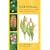 Wild Orchids of the Prairies and Great Plains Region of North America