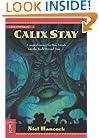 Calix Stay: The Circle of Light, Book 3