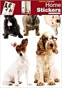 Posters: Dogs Poster-Sticker Wall-Tattoo - Pet Dogs (28 x 20 inches)