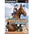 Equestrian Challenge