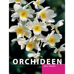 Orchideen