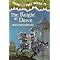 First 40 books of the Magic Tree House series in order