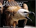 Vultures (Animal Scavengers)