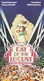 Day of the Locust Day of the Locust