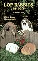 Lop Rabbits As Pets