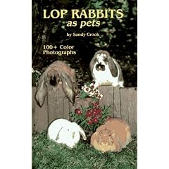 Lop Rabbits as Pets