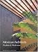 Mexican Architects; Tradition and Modernism