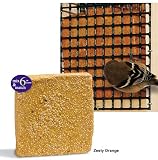 Suet Plus Blend Cakes Flavor: Peanut