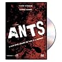Ants