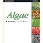 Algae: A Problem Solver Guide (Oceanographic Series)