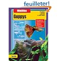 Guppys, MiniAtlas