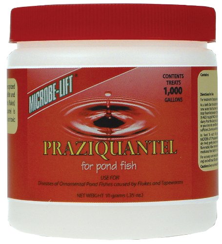 Eco Labs PRAZI10 Praziquantel, 10-Gram