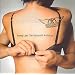 Young Lust: The Aerosmith Anthology