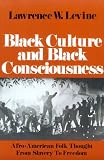 Black Culture and Black Consciousness: Afro-American Folk Thought from Slavery to Freedom (Galaxy Books)