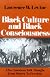 Black Culture and Black Consciousness: Afro-American Folk Thought from Slavery to Freedom (Galaxy Books)