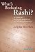 What's Bothering Rashi? - Bereishis (What's Bothering Rashi Series)