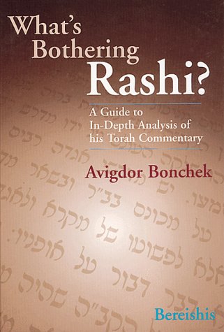 What s Bothering Rashi? - Bereishis (What s Bothering Rashi Series)