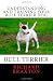 Understanding and Training your Bull Terrier Dog