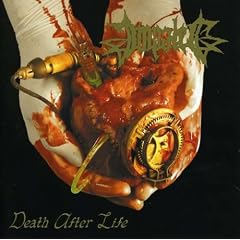 Death After Life