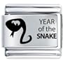 Year Snake Bith Date Italian Charm Bracelet