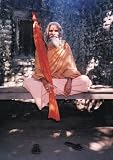 Dandi Swami : the story of the guru's will, Maharishi Mahesh Yogi, the Shankaracharyas of Jyotir Math, & meetings with Dandi Swami Narayananand Saraswati.