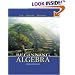 Beginning Algebra