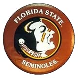 Florida State University Tire Cover