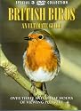 British Birds - An Ultimate Guide [DVD]