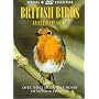 British Birds - An Ultimate Guide